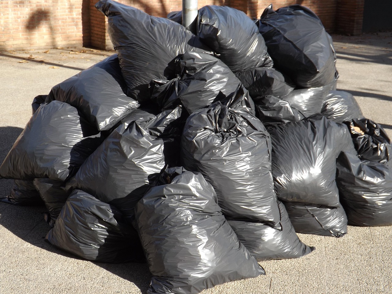 bagged debris staged for removal as part of cleanup